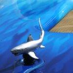 The Role of Augmented Reality in Auto Maintenance Remote Assistance and Support