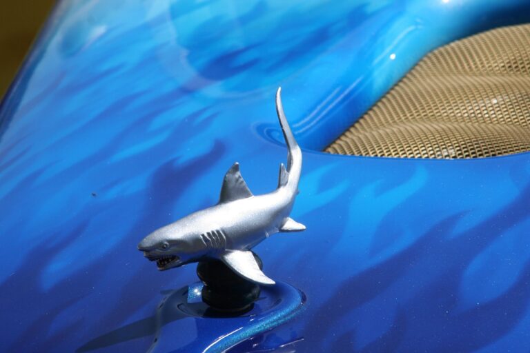 The Role of Augmented Reality in Auto Maintenance Remote Assistance and Support